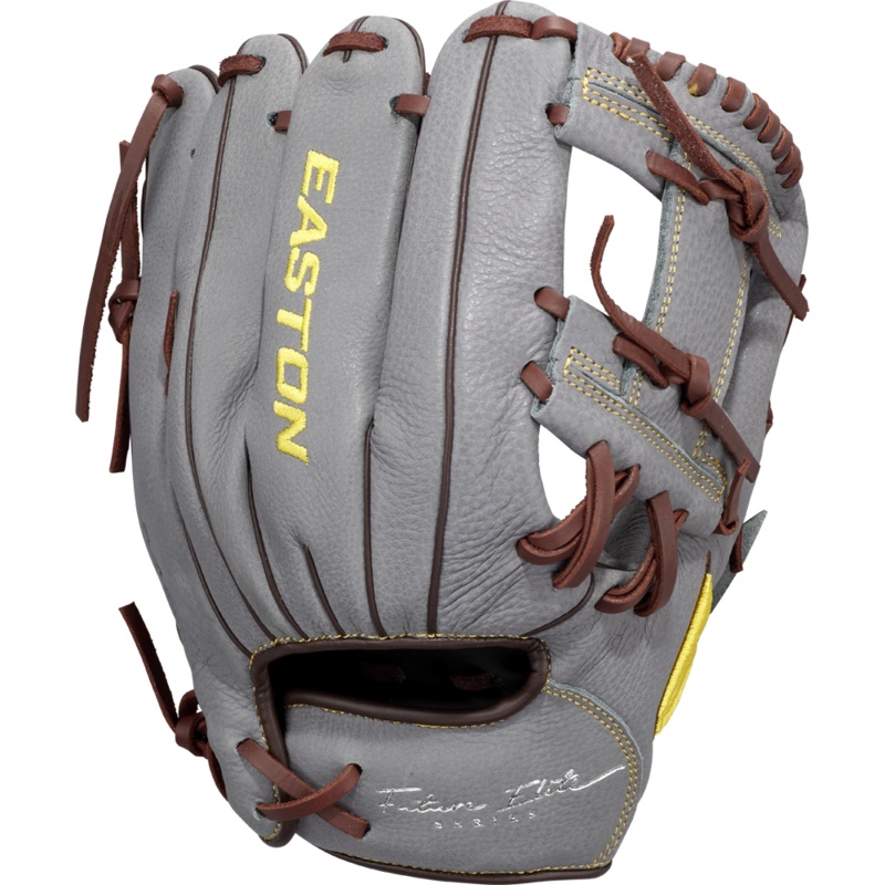 Easton Future Elite 11 Baseball Glove: FE11-GYBR